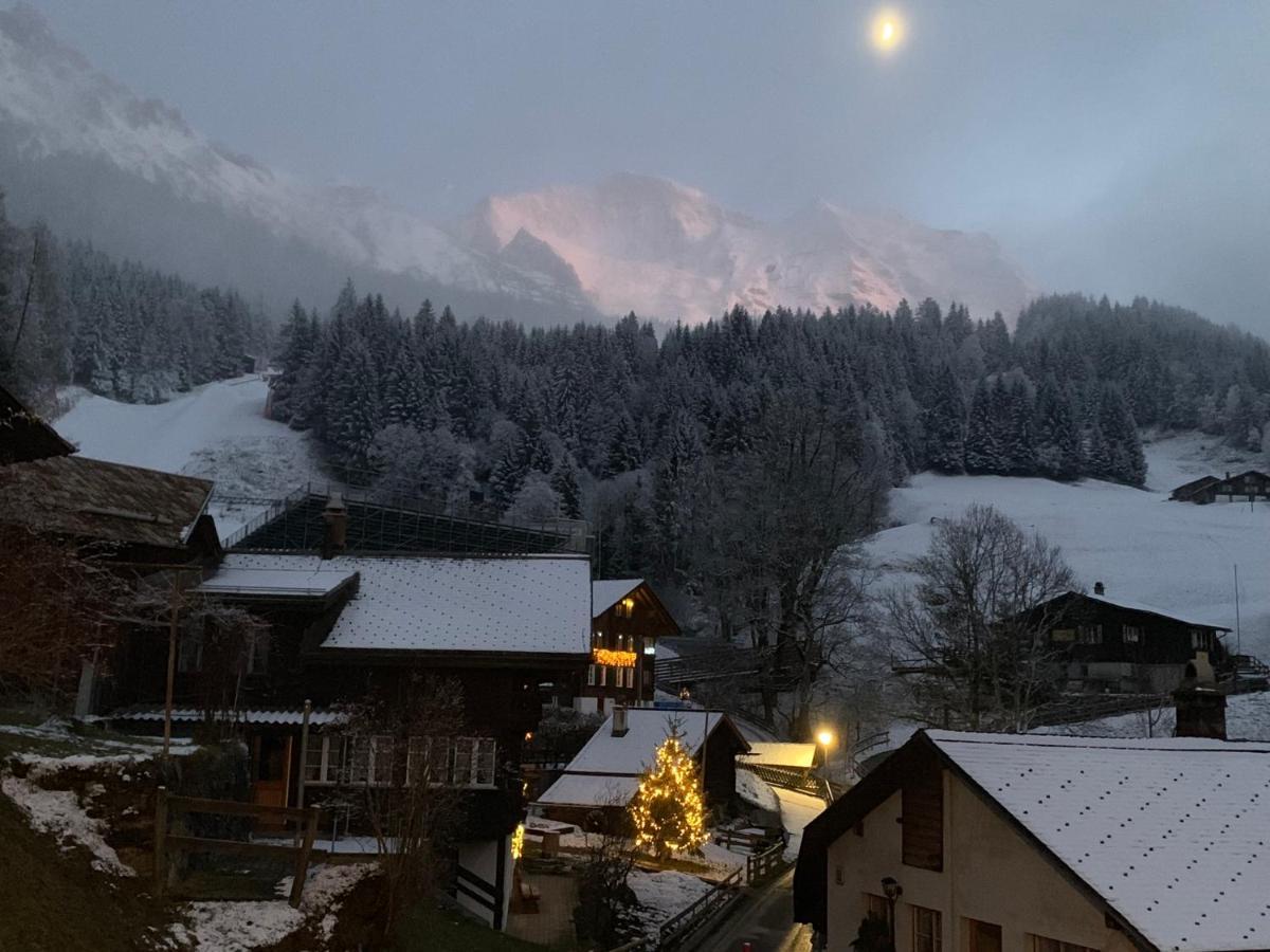 Chalet Schiltwald Innerwengen Exterior photo