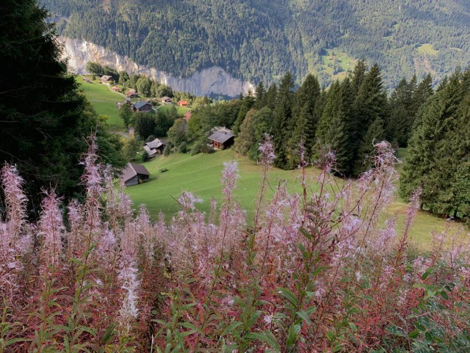 Chalet Schiltwald Innerwengen Exterior photo