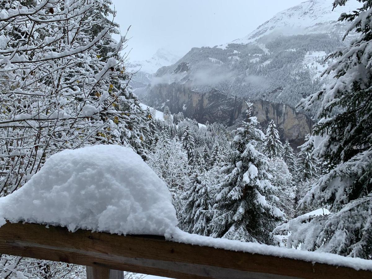 Chalet Schiltwald Innerwengen Exterior photo