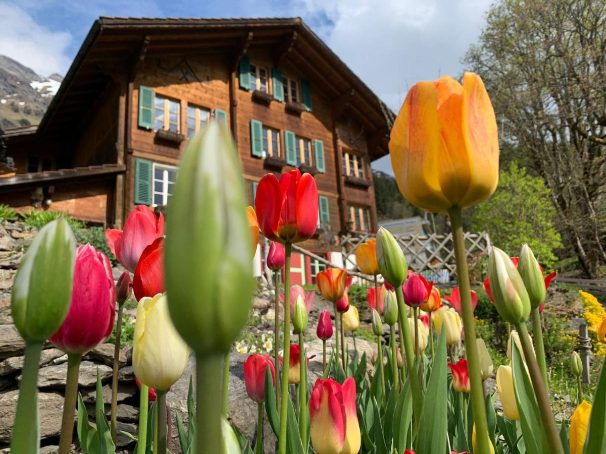 Chalet Schiltwald Innerwengen Exterior photo
